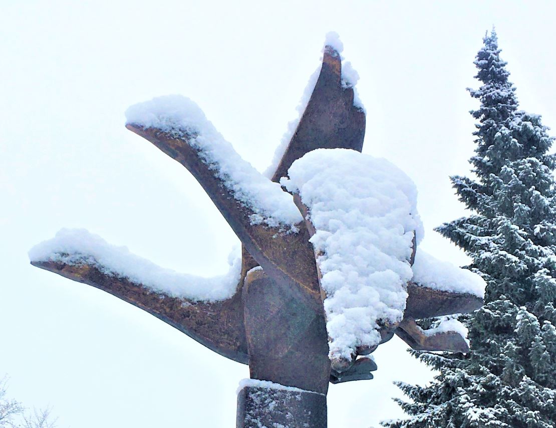 schwaene freudenreich2021